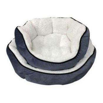 cat bed,cat litter,cat tree,dog bed,dog cage,dog collar,dog food,dog harness,dog leash,dog toy,pet accessories,pet bed,pet cage,pet carrier,pet food,pet house,pet products,pet supply,pet toy
